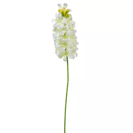 Jácint szálas fehér M51cm 72db/#