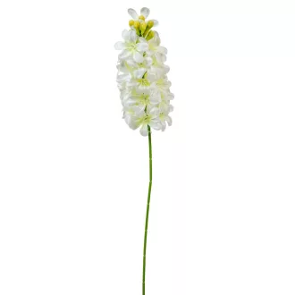 Jácint szálas fehér M51cm 72db/#