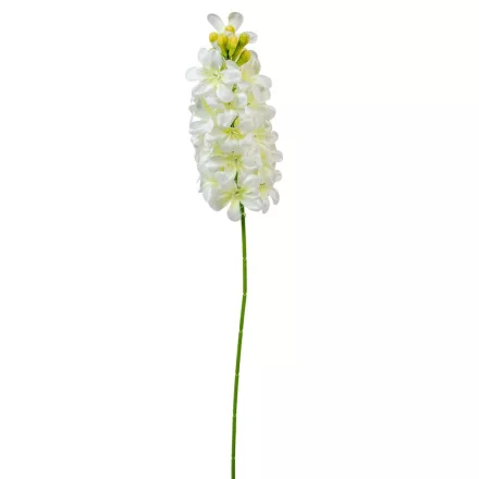 Jácint szálas fehér M51cm 72db/#