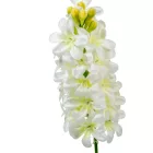 Jácint szálas fehér M51cm 72db/#