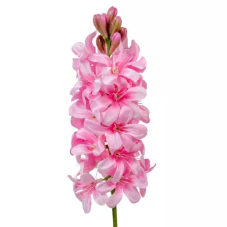 Jácint szálas világos rózsaszín M51cm 72db/#