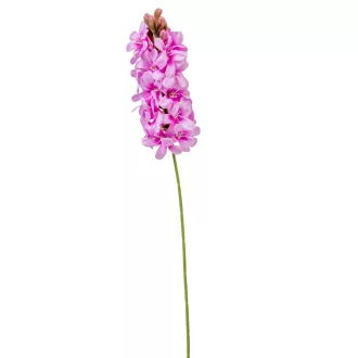 Jácint szálas sötét rózsaszín M51cm 72db/#