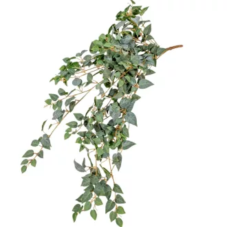 Epipremnum futó 70cm