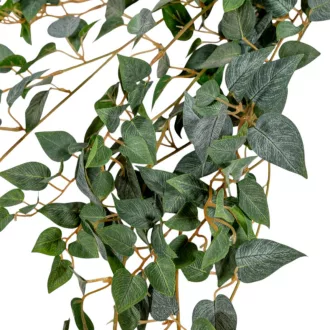Epipremnum futó 70cm