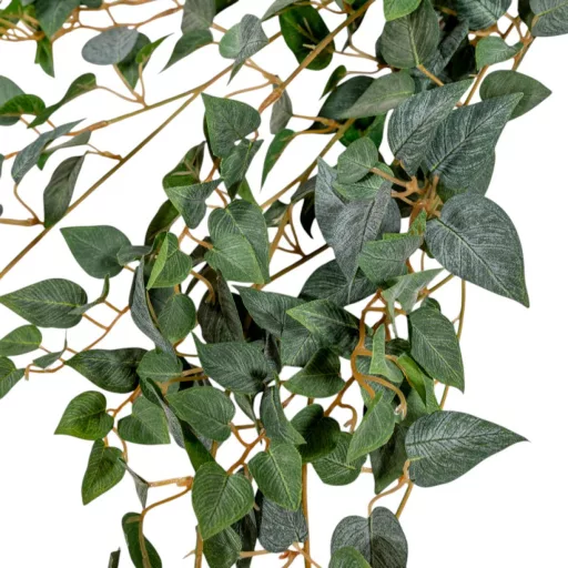 Epipremnum futó 70cm
