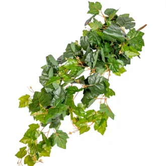 Szőlő leveles futó 90cm 