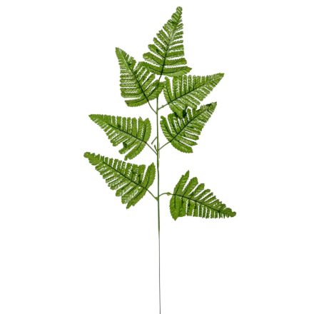 Páfrány levél M58cm 12db/köteg