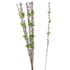 Barka ág M82cm 12db/köteg