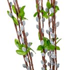 Barka ág M82cm 12db/köteg