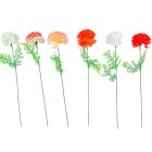 Szegfű aszparágusszal mix M51cm 144db/#