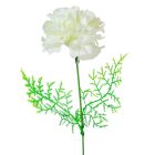 Szegfű aszparágusszal mix M51cm 144db/#