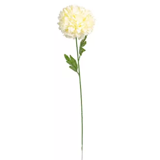 Krizantém szálas krém M75cm 24db/#
