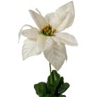 Mikulás virág szálas bársony krém M53cm