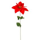 Mikulás virág szálas bársony piros M53cm