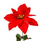 Mikulás virág szálas bársony piros M53cm