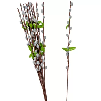 Barka ág M54cm 12db/köteg