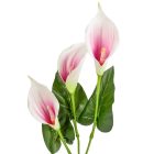 Polifoam kála ág 3v. mix M85cm 36db/#