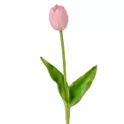 Tulipán szálas gumi M40cm 48db/#