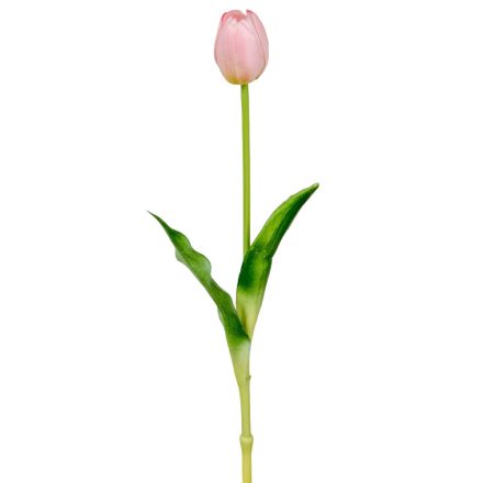 Tulipán szálas gumi M39cm 48db/#