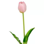 Tulipán szálas gumi rózsaszín M39cm 48db/#