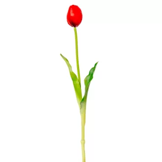 Tulipán szálas gumi piros M39cm 48db/#