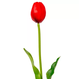 Tulipán szálas gumi piros M39cm 48db/#