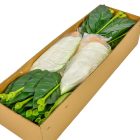 Kála szálas polifoam M65cm fehér 48db/#