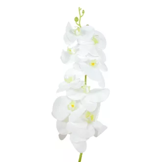 Orchidea szálas gumi krém M100cm 30db/#