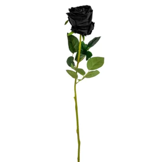Rózsa szálas bársony fekete M49cm 48db/#