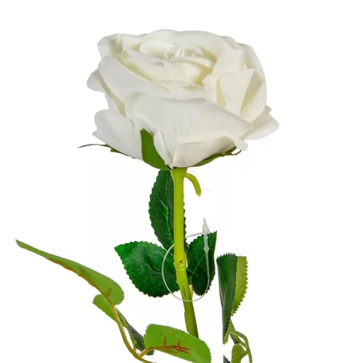 Rózsa szálas bársony M49cm 48db/#