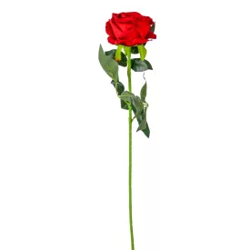 Bársony rózsa szálas piros M74cm 40db/#