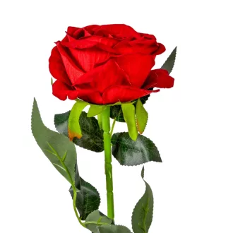 Bársony rózsa szálas piros M74cm 40db/#