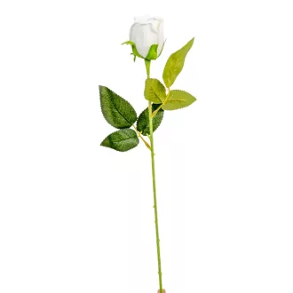 Rózsa szálas bársony krém M51cm 72db/#