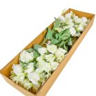 Liziantus ág 4v. M60cm 300 24db/#