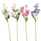 Liziantus ág 4v. M60cm 24db/#