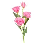 Liziantus ág 4v. M60cm 24db/#