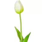 Tulipán szálas gumi krém M45cm 48db/#