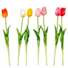 Tulipán szálas gumi M45cm 48db/#