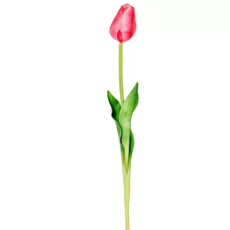 Tulipán szálas gumi mályva M45cm 48db/#