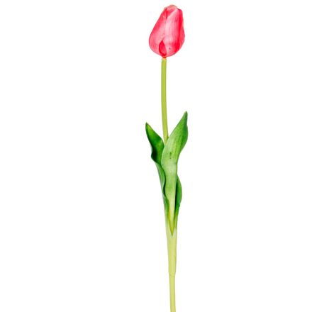 Tulipán szálas gumi mauve M45cm 48db/#