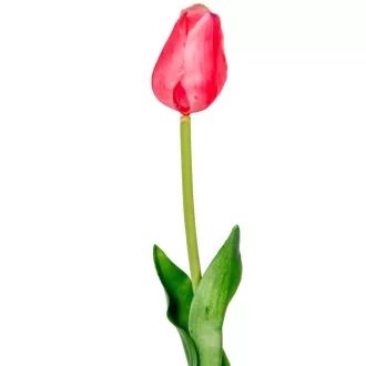 Tulipán szálas gumi mályva M45cm 48db/#
