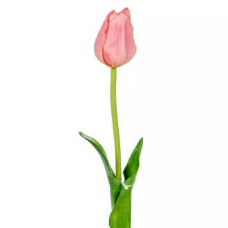 Tulipán szálas gumi M45cm 48db/#
