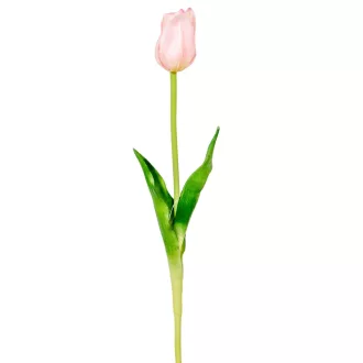 Tulipán szálas gumi rózsaszín M45cm 48db/#