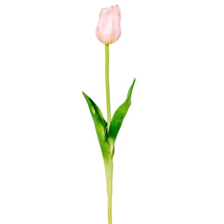Tulipán szálas gumi pink M45cm 48db/#