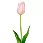 Tulipán szálas gumi rózsaszín M45cm 48db/#