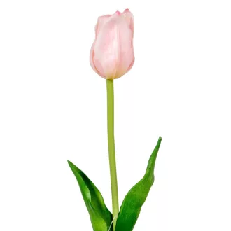 Tulipán szálas gumi rózsaszín M45cm 48db/#