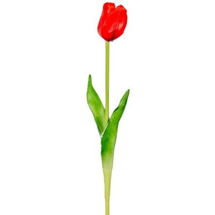 Tulipán szálas gumi M45cm 48db/#