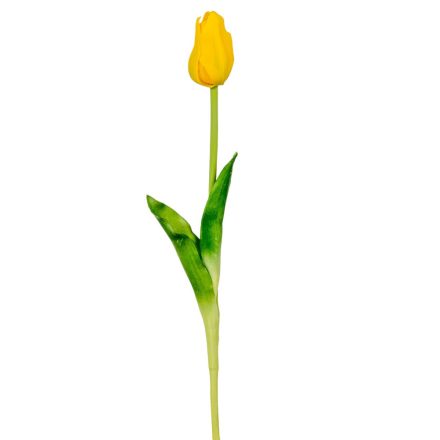 Tulipán szálas gumi sárga M45cm 48db/#