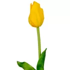 Tulipán szálas gumi sárga M45cm 48db/#