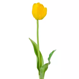 Tulipán szálas gumi mix M38cm 48db/#